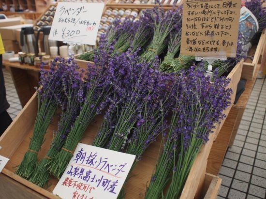P1011931_550.jpg