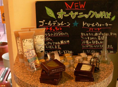 P1090261_500.jpg