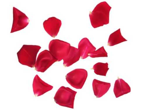 iStock_000001118594XSmall_500.jpg